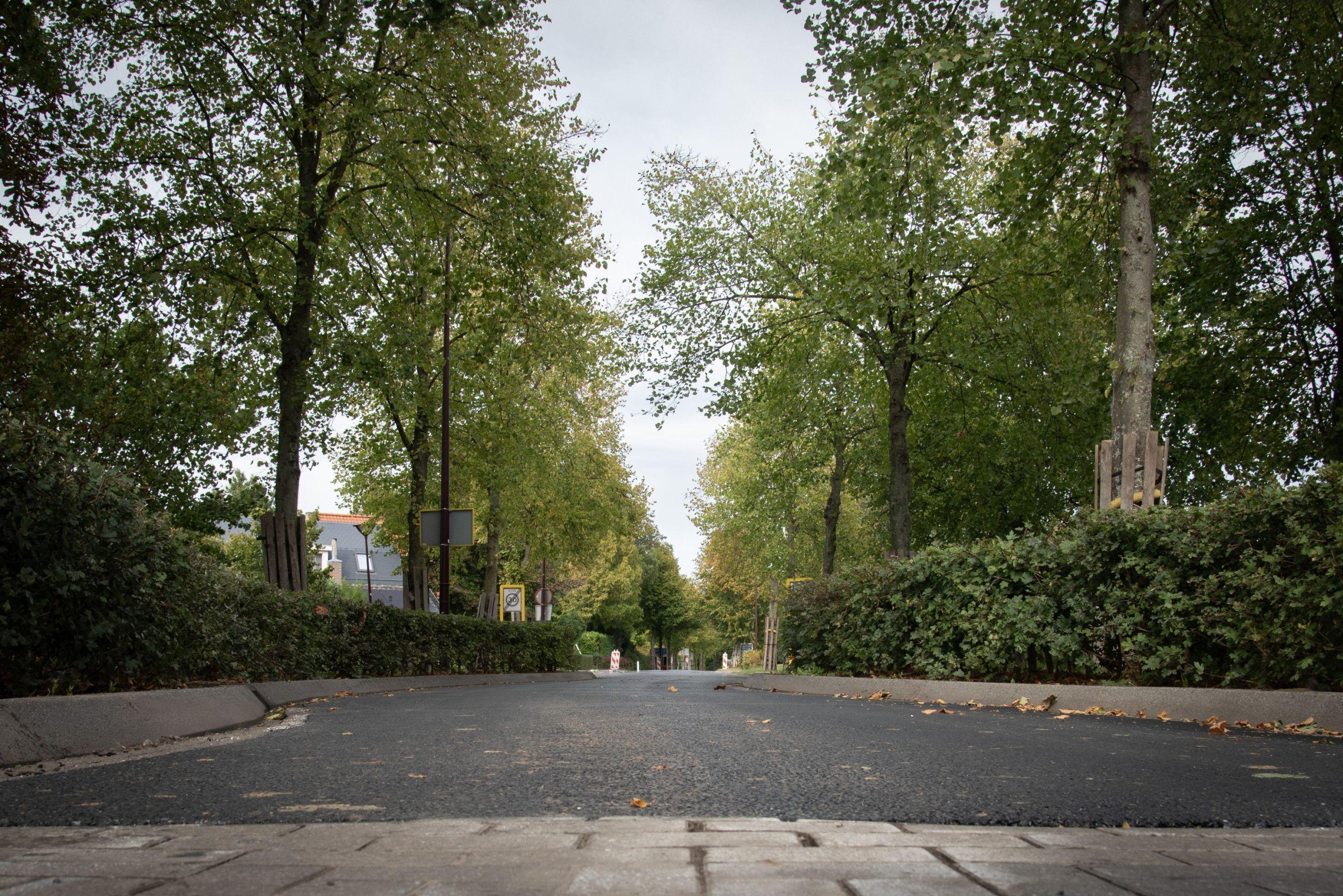 Asfaltonderhoud | Buitengewoon Grasstenen boerenweggetjes Gemeente Halderberge Asfalteren Onderhoud
