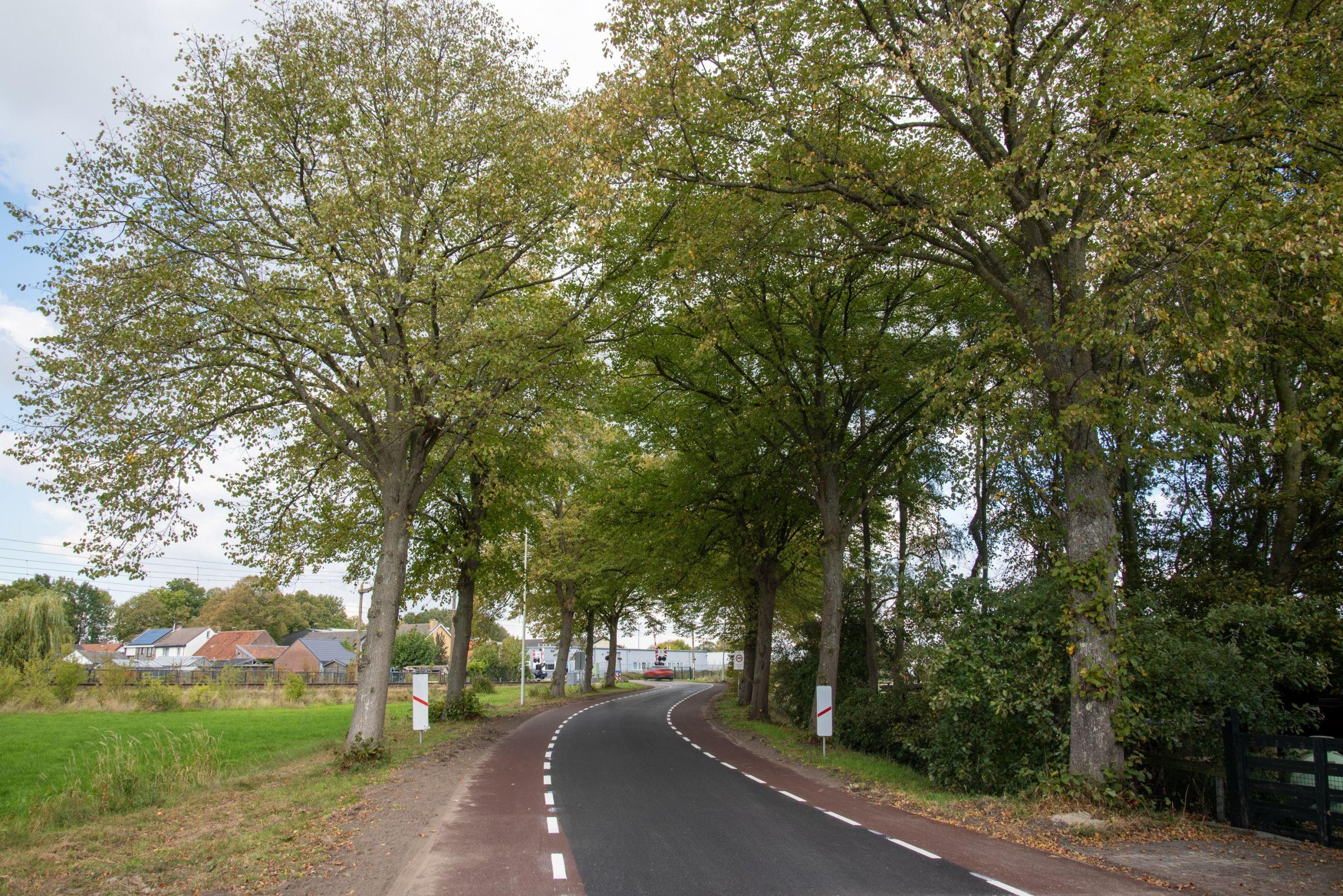 Asfaltonderhoud | Buitengewoon Grasstenen boerenweggetjes Gemeente Halderberge Asfalteren Onderhoud