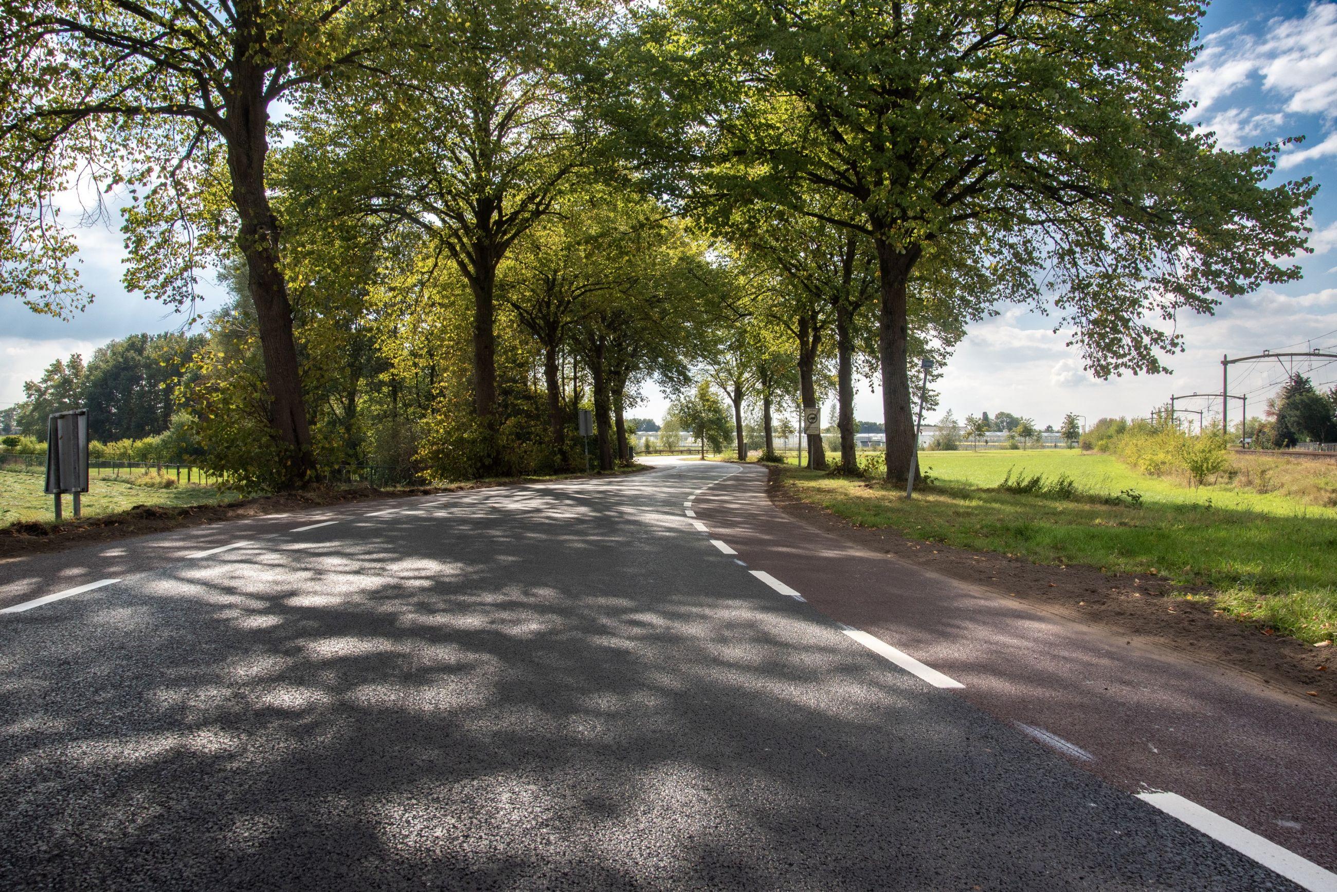 Asfaltonderhoud | Buitengewoon Grasstenen boerenweggetjes Gemeente Halderberge Asfalteren Onderhoud