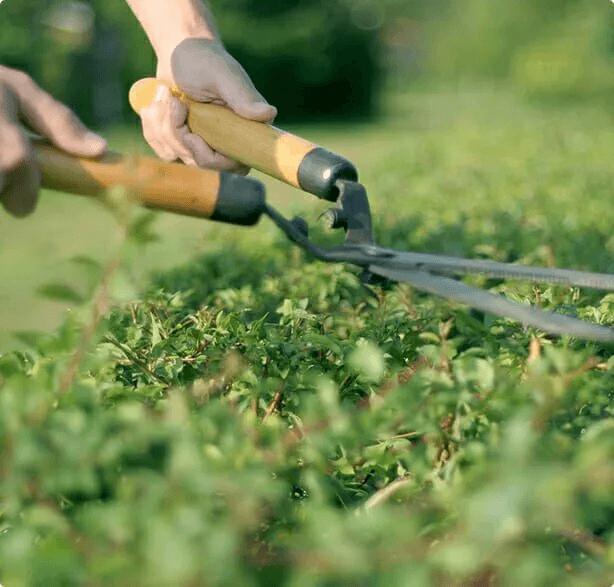 Terreinonderhoud bij Buitengewoon B.V. 